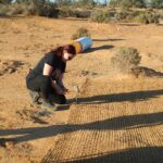 Reburial project
